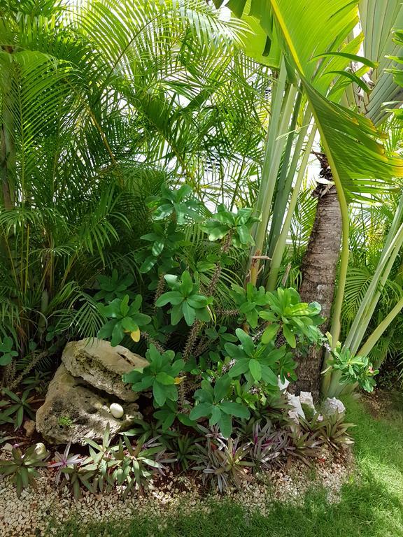 Bayahibe Guest House Hotel 외부 사진